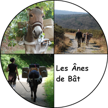 photos des ânes de bât