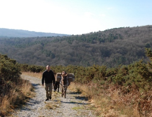 Randonnée avec Banjo près de la butte de Malvran