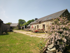 Terrasse extérieure avec tables et chaises 